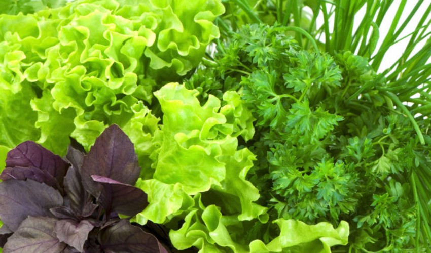 Татьяна Лютаеваның жалаңаш суреттері