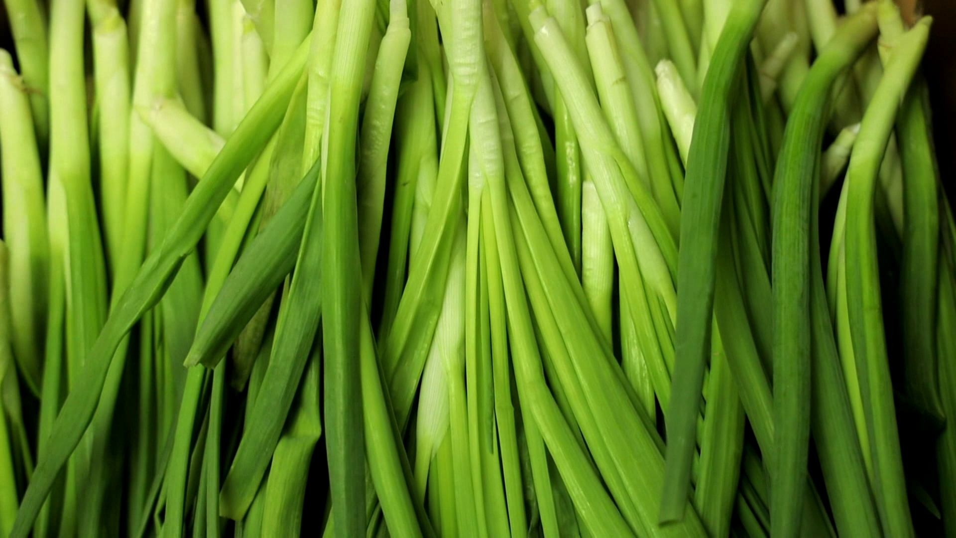 Анна Семенович порнода трахается.